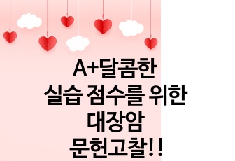 A+ 달콤한 실습 점수를 위한 대장암 문헌고찰!!