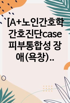 [A+받은 노인간호학 간호진단 욕창, 간호과정 케이스스터디, 간호중재 실습스터디 부동에 의한 피부통합성 장애(욕창), 간호진단 비효과적 기도청결] 문헌고찰 및 간호진단