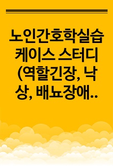 노인간호학실습 케이스 스터디(역할긴장, 낙상, 배뇨장애)