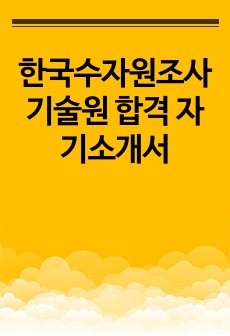 한국수자원조사기술원 합격 자기소개서