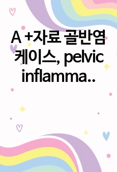 A +자료 골반염 케이스, pelvic inflammatory disease (모성간호학 케이스) -  표지포함 13 P, 간호진단 1개,출처 및 양식완벽