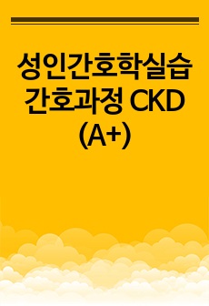 성인간호학실습 간호과정 CKD (A+)