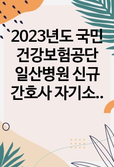 2023년도 국민건강보험공단 일산병원 신규간호사 자기소개서 (서류합격)