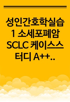 성인간호학실습1 소세포폐암 SCLC 케이스스터디 A+++