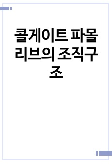 콜게이트 파몰리브의 조직구조