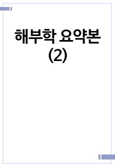 해부학 요약본(2)