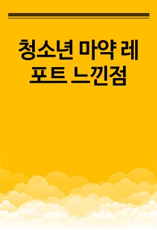 청소년 마약 레포트 느낀점