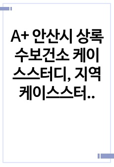 A+ 안산시 상록수보건소 케이스스터디, 지역 케이스스터디, 안산시케이스스터디, 상록구 케이스스터디, 지역사회간호학 사례보고서