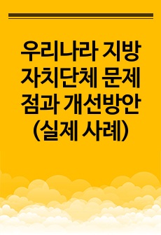 우리나라 지방자치단체 문제점과 개선방안 (실제 사례)