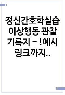 정신간호학실습 이상행동 관찰 기록지 - !예시 링크까지 담아서 구체적으로 작성!