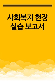 사회복지 현장 실습 보고서