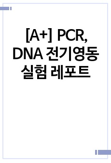 [A+] PCR, DNA 전기영동 실험 레포트