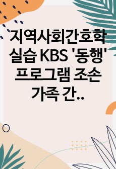 지역사회간호학실습 KBS '동행' 프로그램 조손가족 간호과정 보고서