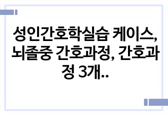 성인간호학실습 케이스, 뇌졸중 간호과정, 간호과정 3개, 노인실습 케이스, 뇌졸중 간호진단 3개