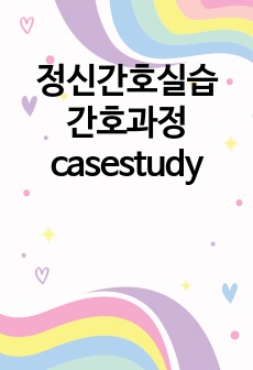 정신간호실습 간호과정 casestudy