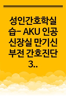 성인간호학실습- AKU 인공신장실 만기신부전 간호진단3개 간호과정2개 A+