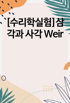 [수리학실험]삼각과 사각 Weir