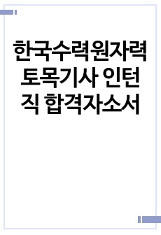 한국수력원자력 토목기사 인턴직 합격자소서