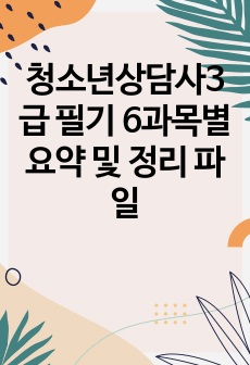 청소년상담사3급 필기  합격자 6과목별 요약 및 정리 파일