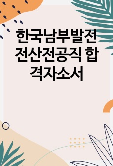 한국남부발전 전산전공직 합격자소서