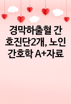 경막하출혈 뇌졸중 간호진단2개, 노인간호학 A+자료