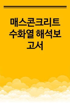 매스콘크리트 수화열 해석보고서