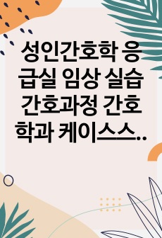 성인간호학 응급실 임상 실습 간호과정 간호학과 케이스스터디 간호진단 2개