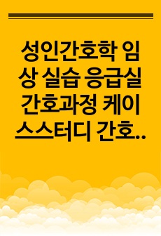 성인간호학 임상 실습 응급실 간호과정 케이스스터디 간호중재 5개 간호진단 2개