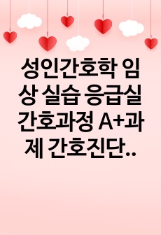 성인간호학 임상 실습 응급실 간호과정 A+과제 간호진단 간호사정