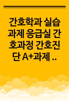 간호학과 실습 과제 응급실 간호과정 간호진단 A+과제 성인간호학 임상실습