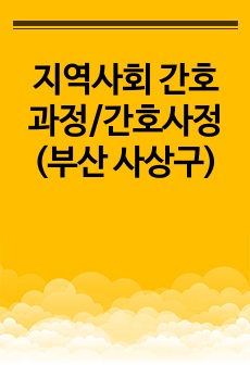 지역사회 간호과정/간호사정 (부산 사상구)