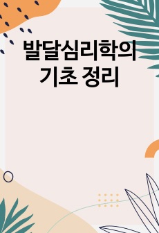 발달심리학의 기초 정리