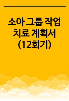 소아 그룹 작업치료 계획서 (12회기)