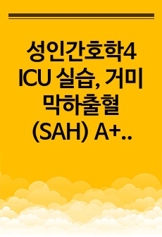 성인간호학4 ICU 실습, 거미막하출혈 (SAH) A+ 케이스스터디 입니다.