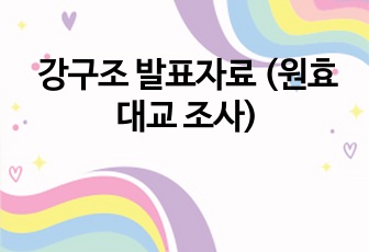 강구조 발표자료 (원효대교 조사)