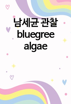 남세균 관찰 bluegree algae