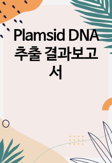 Plamsid DNA 추출 결과보고서