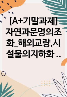 [A+기말과제]자연과문명의조화_해외교량,시설물의지하화 등