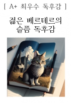 젊은 베르테르의 슬픔 독후감