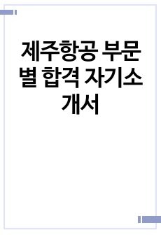 제주항공 부문별 합격 자기소개서