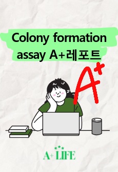 Colony formation assay A+레포트