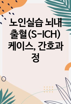 노인실습 뇌내출혈(S-ICH) 케이스, 간호과정