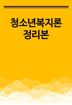 청소년복지론 정리본