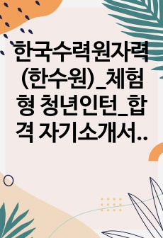 한국수력원자력(한수원)_체험형 청년인턴_합격 자기소개서_자소서 전문가에게 유료첨삭 받은 자료입니다.