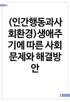 (인간행동과사회환경)생애주기에 따른 사회문제와 해결방안