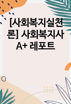 [사회복지실천론] 사회복지사 A+ 레포트