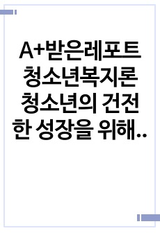 A+받은레포트 청소년복지론 청소년의 건전한 성장을 위해서 어른들이 할 수 있는 일은 무엇인가