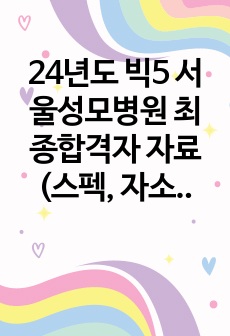 (25년도 대비!) 24년도 빅5 서울성모병원 최종합격자 자료(스펙, 자소서, 인적성, 면접까지)_합격인증 o