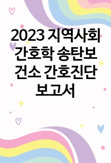 2023 지역사회간호학 송탄보건소 간호진단보고서