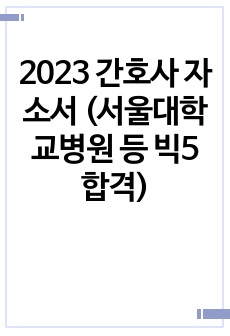 2023 간호사 자소서 (서울대학교병원 등 빅5 합격)